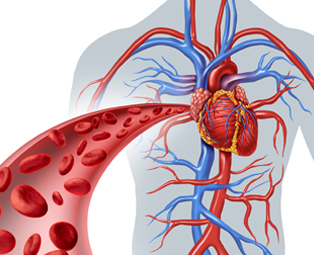 Peripheral Vascular Clinic